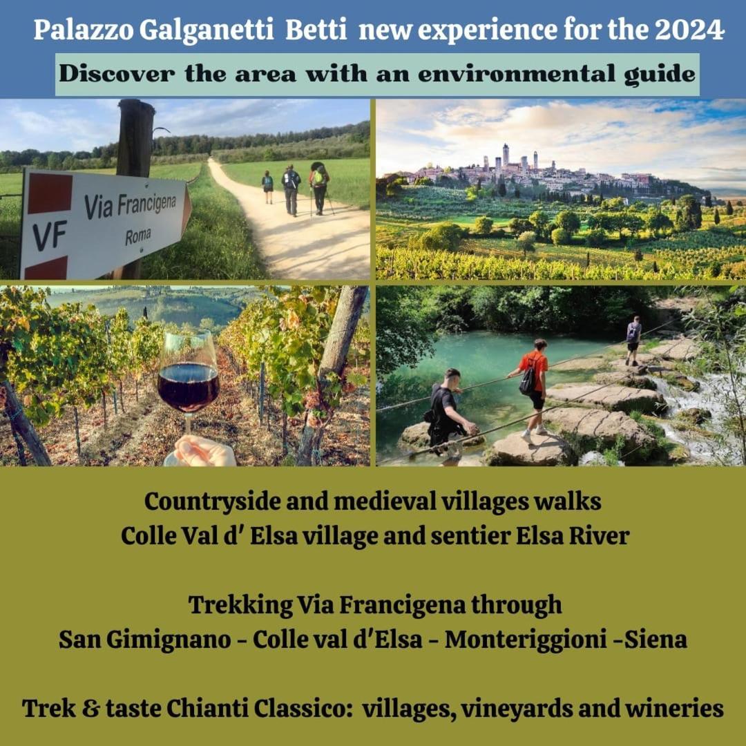 Palazzo Galganetti Betti Villa Colle Val D'Elsa Ngoại thất bức ảnh